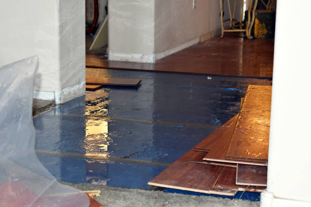 Professional Basement Flood Cleanup technician working in LaBelle, FL
